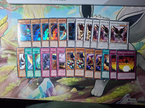 Yugioh schwarzflügel set - schwarzflügel,