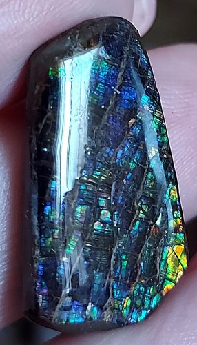 Blau grüner ammolit - blau-grüner,