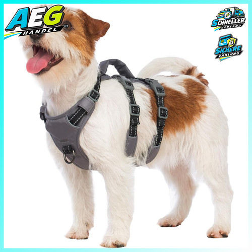 Sicherheitsgeschirr hund - sicherheitsgeschirr,