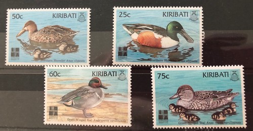 Enten aus kiribati - aus,