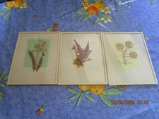 3 x Bilder mit Blumen