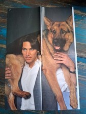 Kommissar Rex 4Seiten Poster
