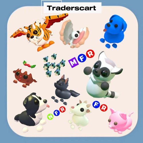 Traderscart cute exotic pets - cute,