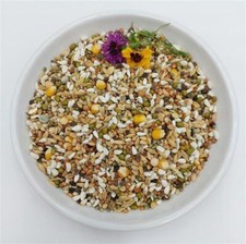 Bird-Box Keimfutter für