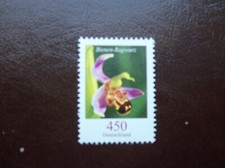 Bund  3191 Bienen Ragwurz 450