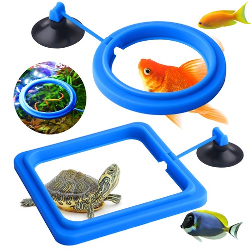 Aquarium futterring rund - aquarium,