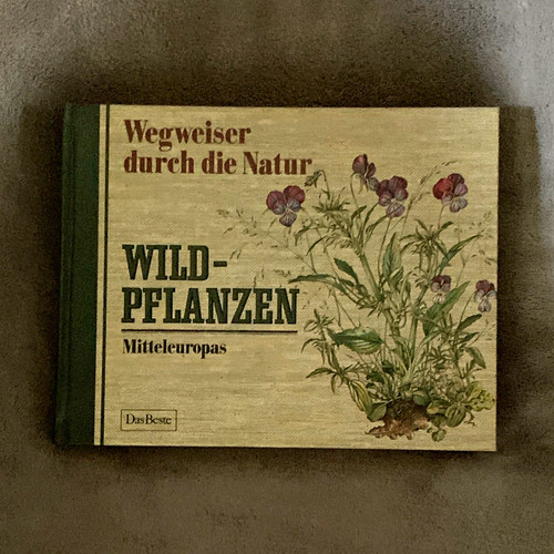 Das beste wegweiser durch - –,