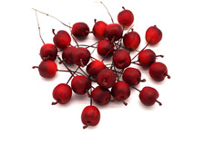 Apfel am Draht 2,5 cm Burgund