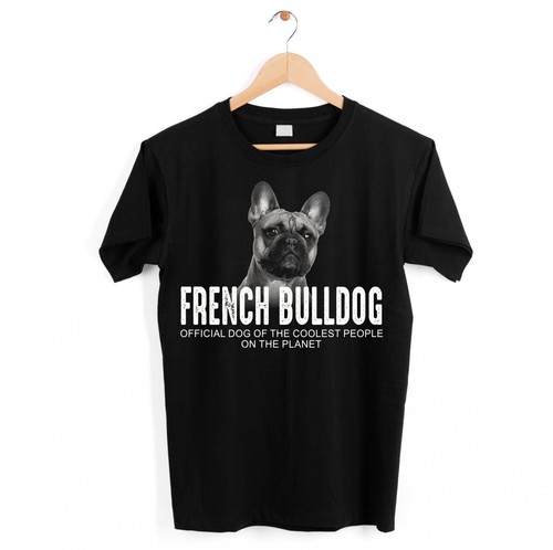 French bulldog frenchie bully - bulldog,