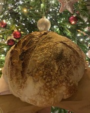 Sauerteigstarter Anstellgut