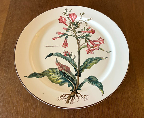 Villeroy boch botanica - boch,
