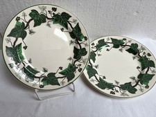 Wedgwood  Napoleon Ivy  2