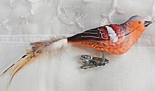 ❀ Buchfink Glasvogel Lauscha