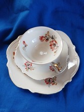 PorzellanSet Hutschenreuther ABT. Paul Müller Selb 1383 Geblümt Goldverziehrung