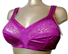 TRIUMPH 'Elegant Mood'