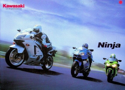 299520 kawasaki zzr 1200 600 - kawasaki,