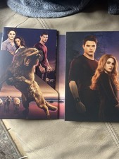 Twilight Breaking Dawn: Biss