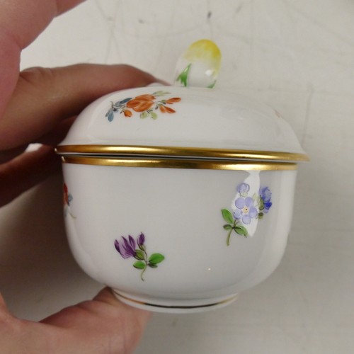 Meissen reichere feldblume - meissen,