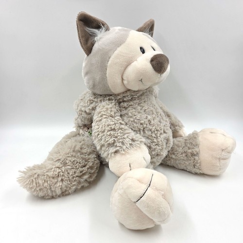 Nici snow cat - cat, kater