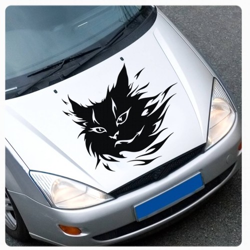 Tribal puma katze - puma, auto