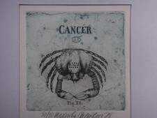 Veronika Paleckova "KREBS"