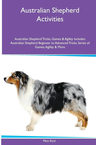 Australian shepherd activities - australian,