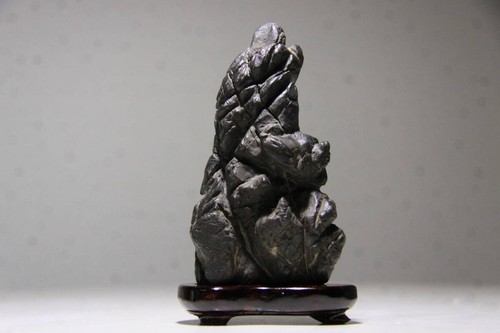 Suiseki bonsai japanischer - bonsai,