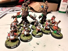 15X Built Painted The Greenfield Grasshuggers Halfling Blood Bowl Team Fantasy