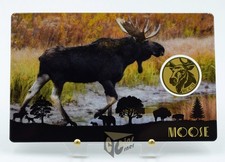 Elch - Amerikas Big 5 - 1/1000