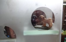 Vitrine Parfum Collection Glas Stufen runde Fenster 20 cm x 13 cm 70ties style 