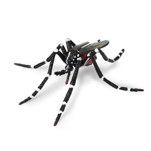 Toymany ml00500 asiatische - ml00500,