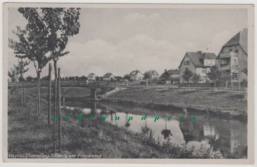 Haynau chojnow partie - haynau,