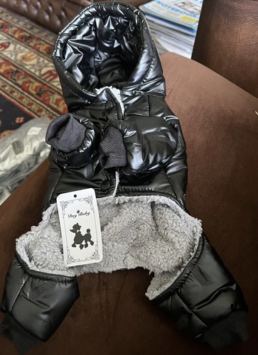 Luxus hunde - 🐕luxus,