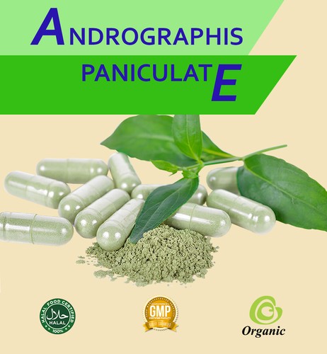 142 andrographis paniculata - 142,