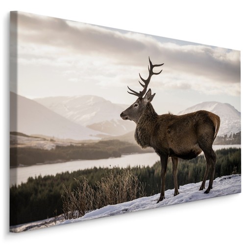 Canvas leinwand bilder xxl - canvas,