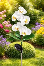 Solarlampe blume orchidee - solarlampe,