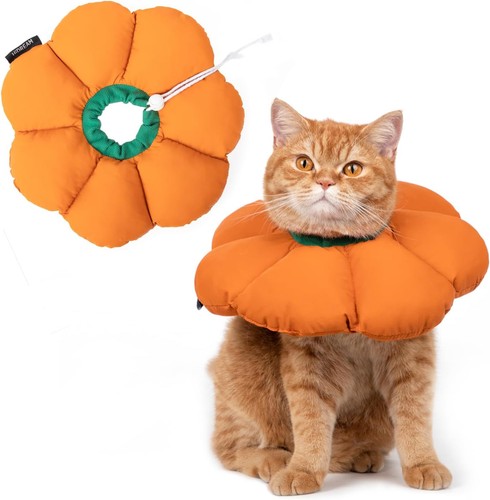 Halskrause katze verstellbar - katze,