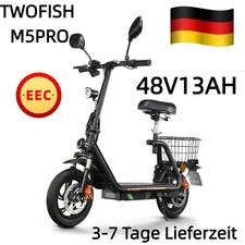 NEU TWOFISH 12" Elektroroller 48V13AH Mit Straßenzulassung Scooter mit Sitz EU