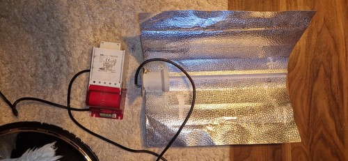 Growlampe ndl und - und, hps