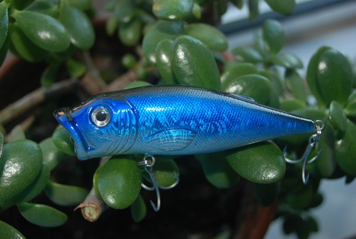 Take wobbler popper hard lure - wobbler,