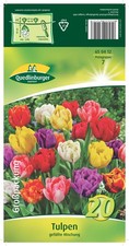 Tulpen "Gefüllte Mischung"  (Großpackung)  Blumenzwiebeln Quedlinburger