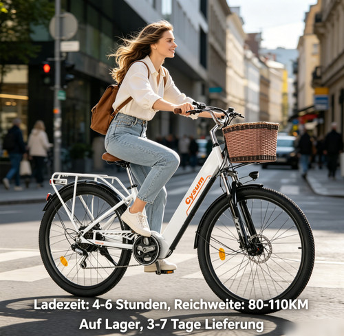 250w citybike bike lcd - 250w,