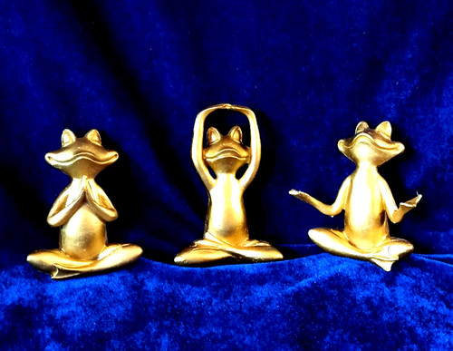 Yoga frosch meditation - frosch,