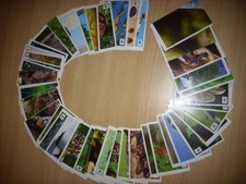 EDEKA TOOM WWF - "Unser Wald"