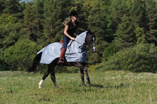 Bucas buzz off riding - buzz-off,