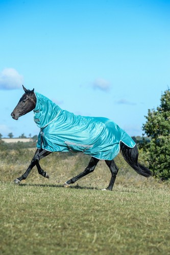 Bucas freedom fly - sheet, full