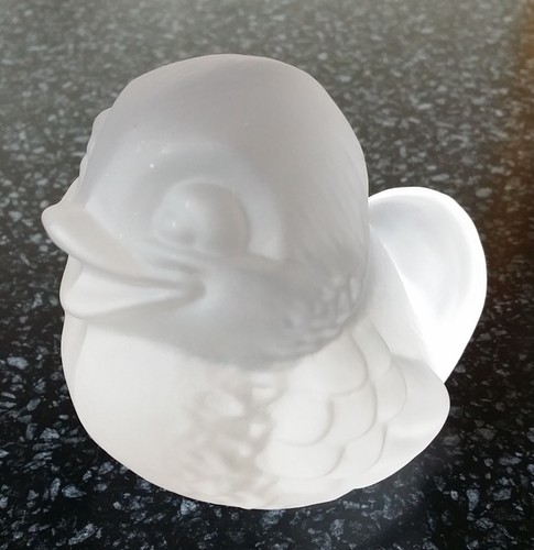 Vogel meise spatz - meise,