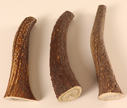 Geweih hirschhornstück horn - hirschhornstück,