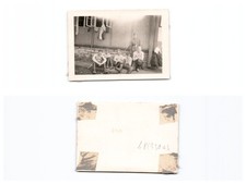 (b85930a3)   2. Weltkrieg Foto