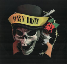 Guns roses skulls - n`, n`